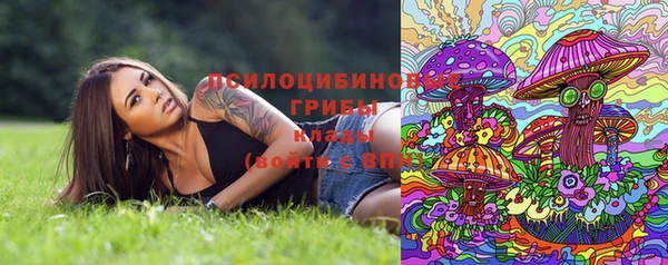 амф Абаза