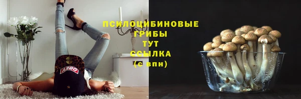 спиды Абдулино