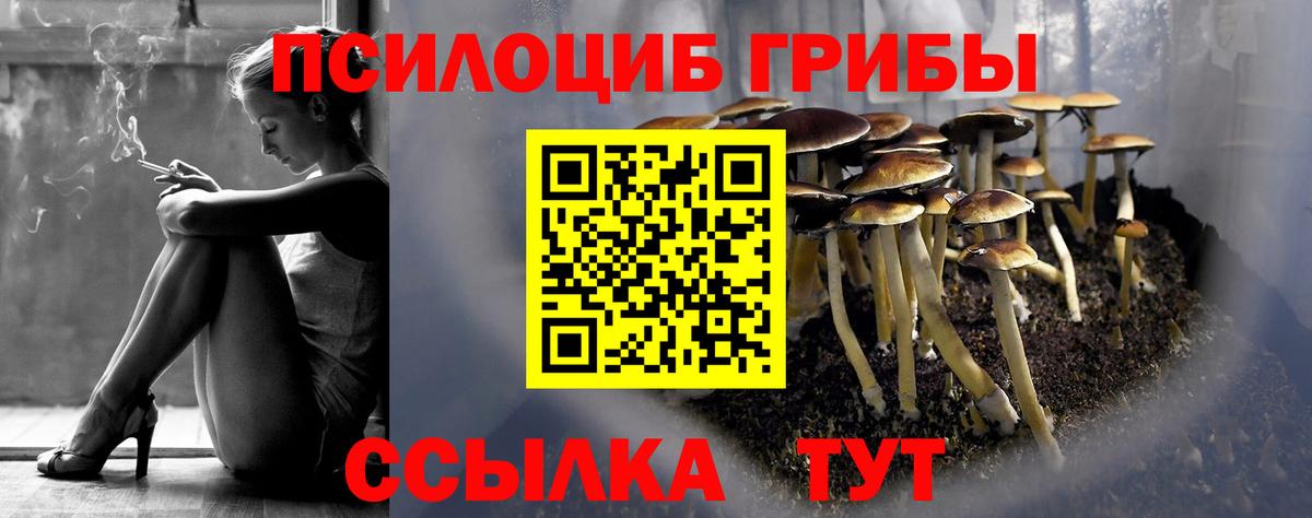 Галлюциногенные грибы мицелий  Вход с VPN  купить  сайты  Алапаевск 